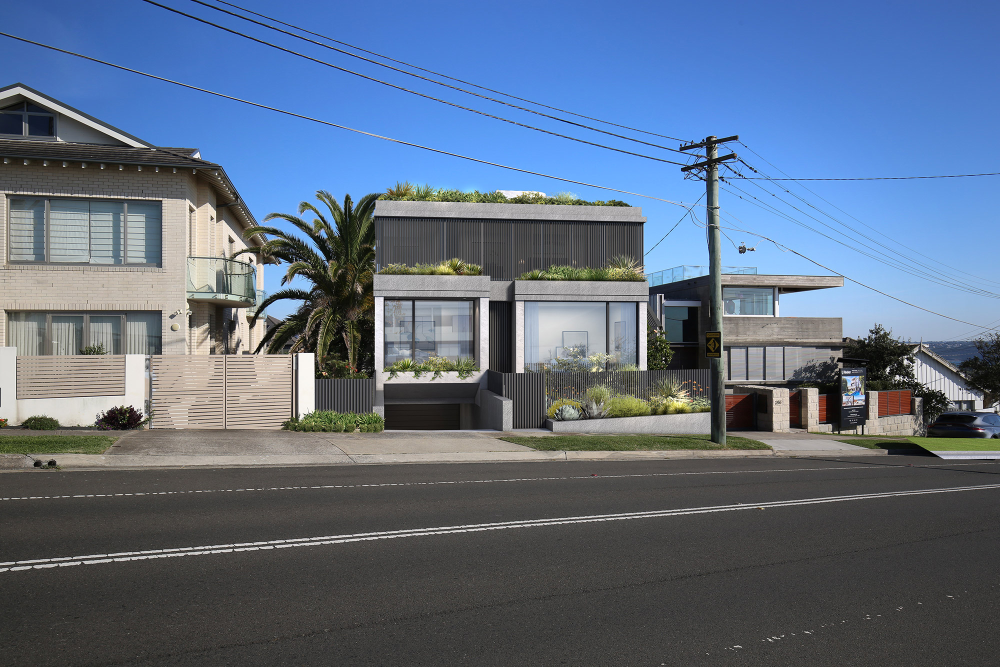 Modern houses with greenery and palm